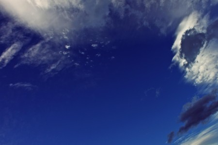 Example caption of the image